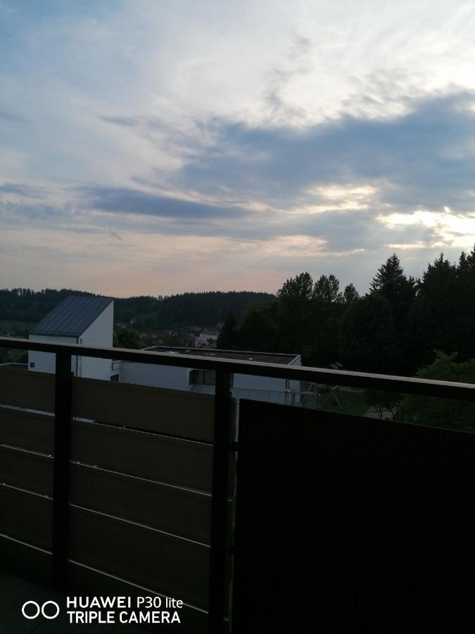 Appartamento King Apartament 1 Mit Netflix Sankt Englmar Esterno foto