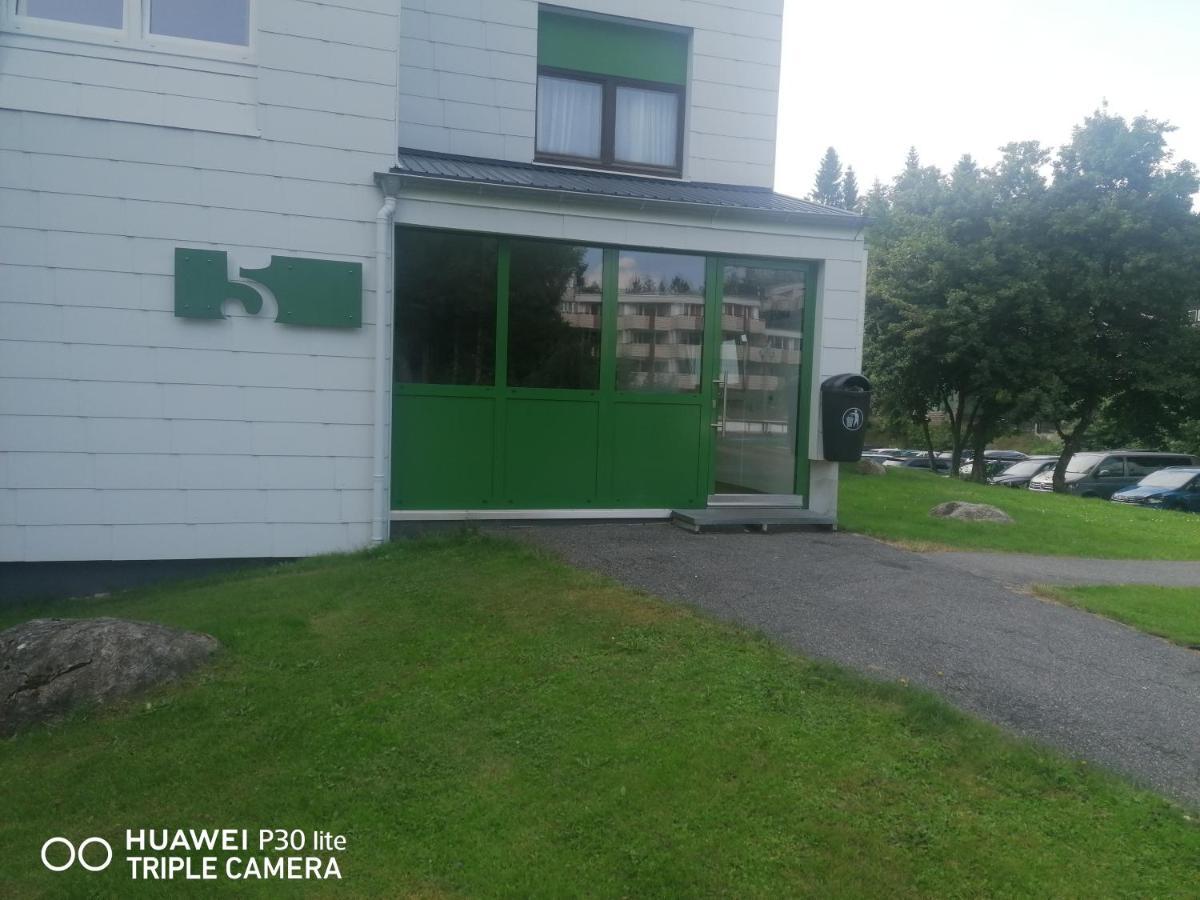 Appartamento King Apartament 1 Mit Netflix Sankt Englmar Esterno foto