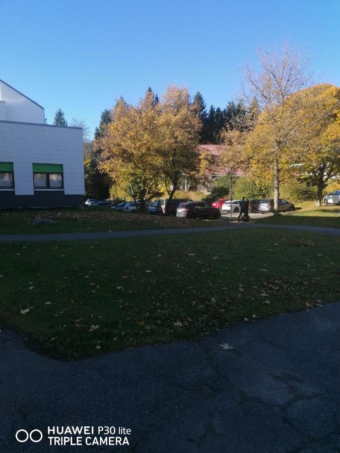 Appartamento King Apartament 1 Mit Netflix Sankt Englmar Esterno foto